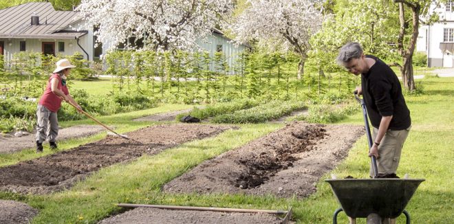 Trädgårdsmästare som arbetar